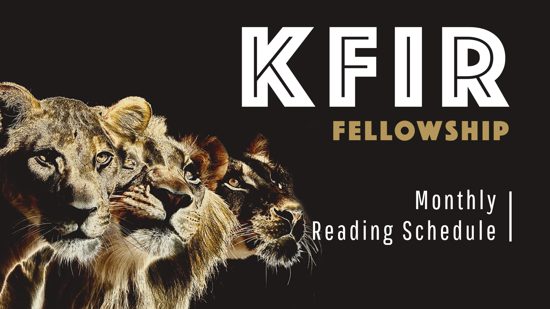 KFIR - Bible Reading
